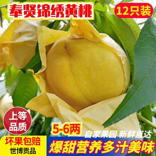 正宗上海奉贤光明锦绣黄桃6-7两 当季现摘新鲜孕妇水果12只礼盒装