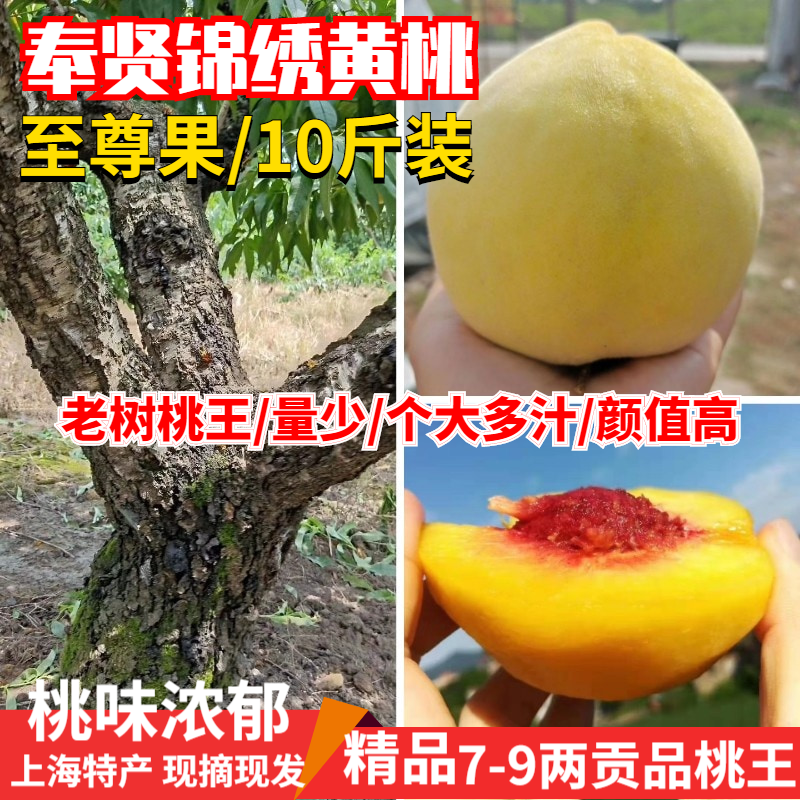 正宗上海奉贤光明锦绣黄桃7-9两 农家新鲜水果应季 精品特产10斤