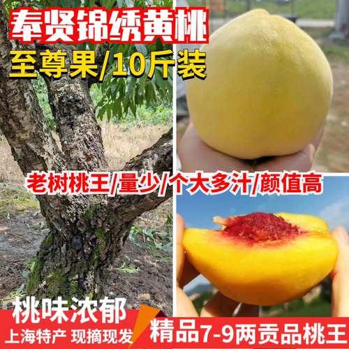 正宗上海光明锦绣黄桃新鲜水果