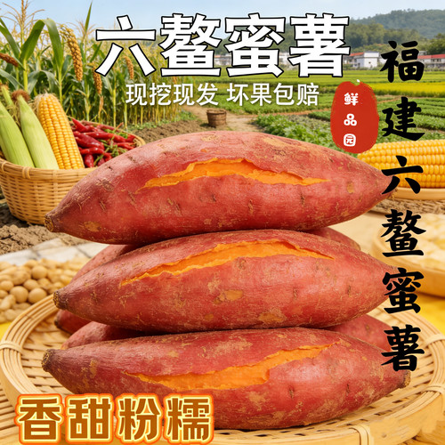 漳浦六鳌沙地蜜薯代餐粗粮