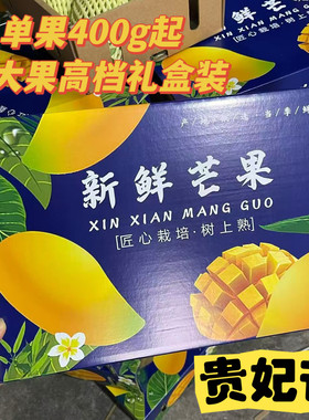 8贵妃芒果树上熟当季新鲜孕妇水果高档礼盒8斤装特大果单果400g起