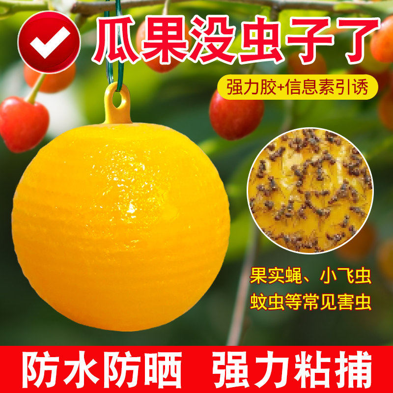 果蝇诱捕器小飞虫灭杀神