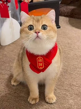 猫咪狗狗围脖新年宠物配饰装饰围巾红色可爱毛线保暖针织小狗喜庆