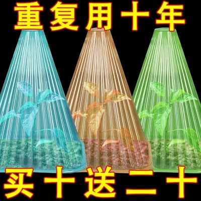重复使用加厚方形植物钟