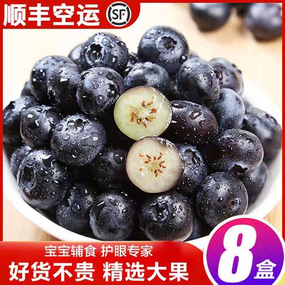 云南玉溪抚仙湖新鲜蓝莓