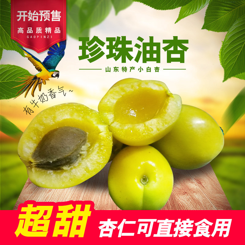珍珠油杏新鲜水果山东小白杏子黄杏超甜杏仁可食用黄皮现摘包邮