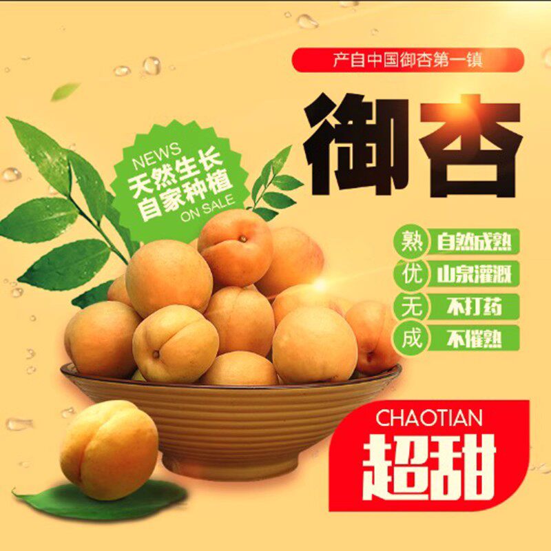张夏贡果御杏山东杏子新鲜水果大黄杏密杏时令水果甜玉杏现摘包邮