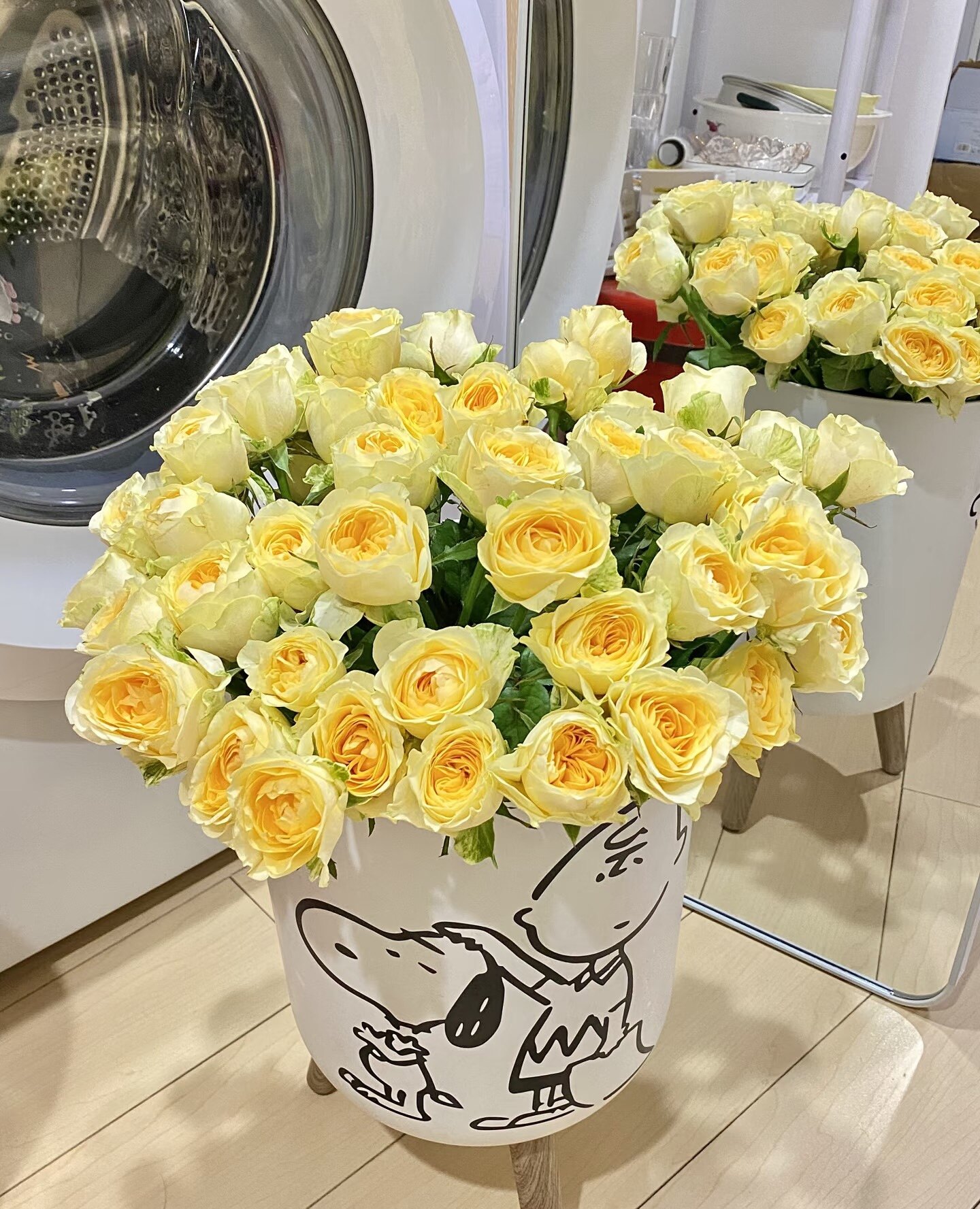 云南玫瑰鲜花基地直发苹果杰克凯瑟琳奶油杯稀有玫瑰水培鲜花束