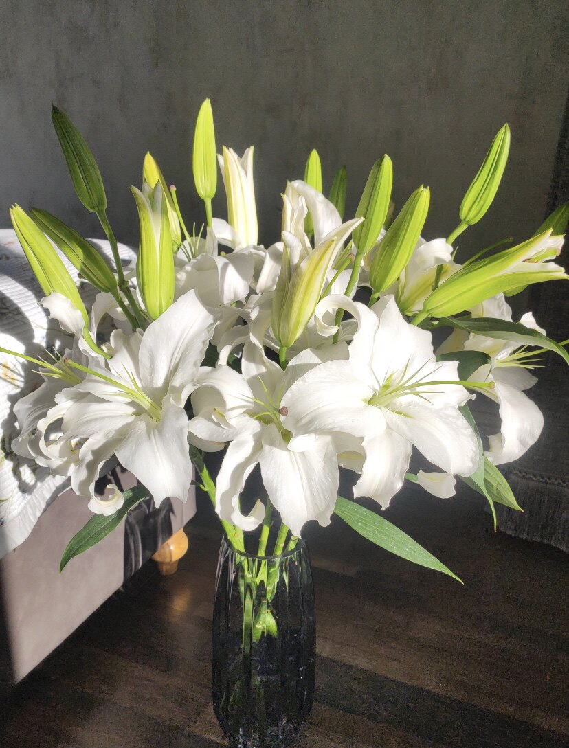 云南鲜花基地直发西伯利亚香水百百合鲜切花