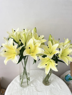 云南百合鲜花基地直发黄天霸多头香水百合花室内水培鲜切花百合花