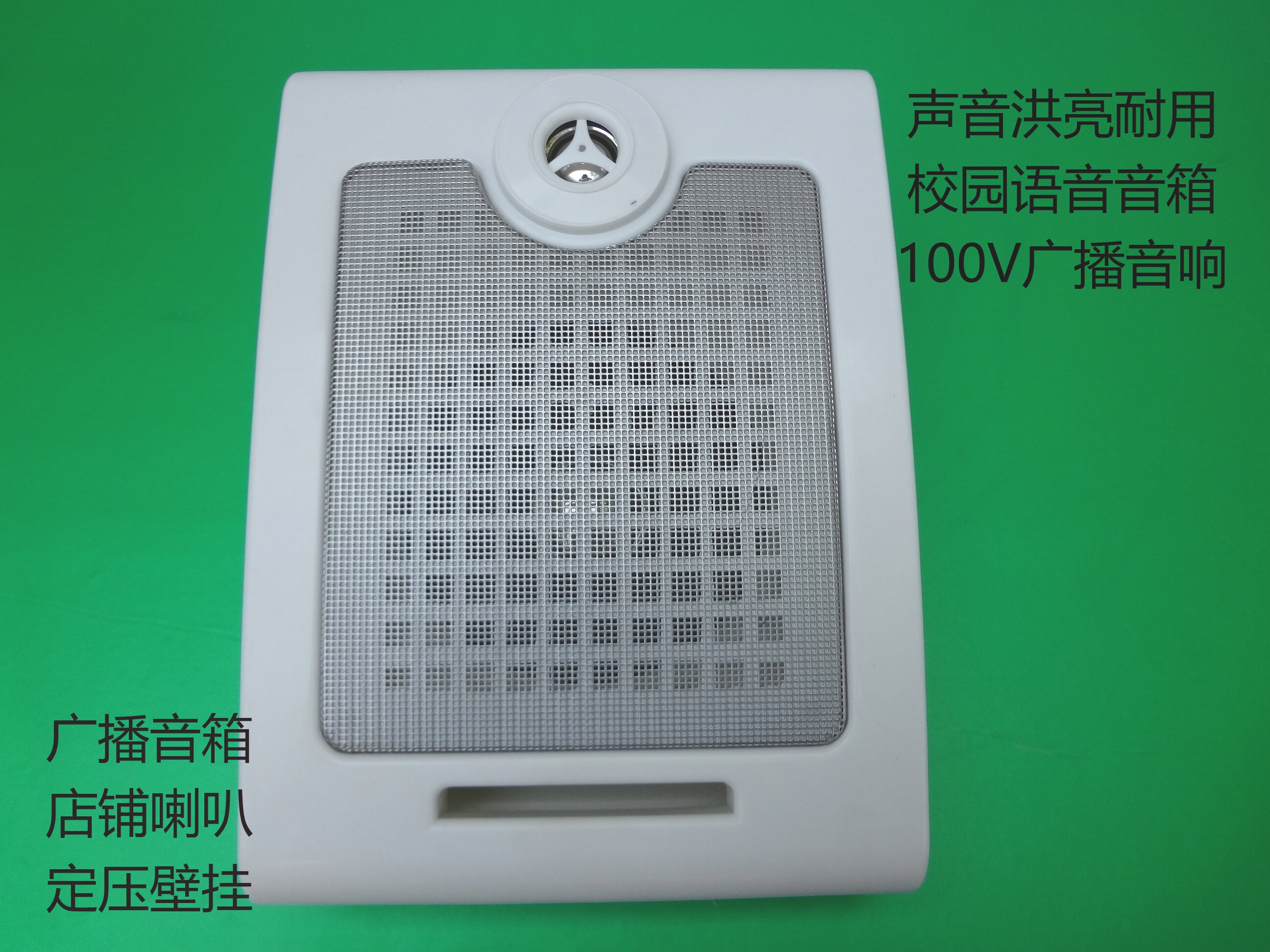 定压功放壁挂音箱喇叭/3-10W/100V学校背景音乐音箱广播悬挂音响