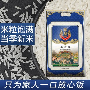 泰皇泰香米5kg袋装2025年新米大米长粒泰国香米整箱团购礼品10斤