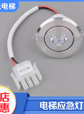 电子一厂XAA417AK1/2圆筒灯12V电梯轿厢应急照明灯适用奥的斯配件