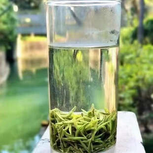 【老树茶芽尖】正宗苏州洞庭碧螺春纯手工炒制老树茶花果香浓郁