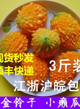 【金铃子水果】苏州现摘新鲜水果金铃子小癞瓜黄金果赖葡萄非种子