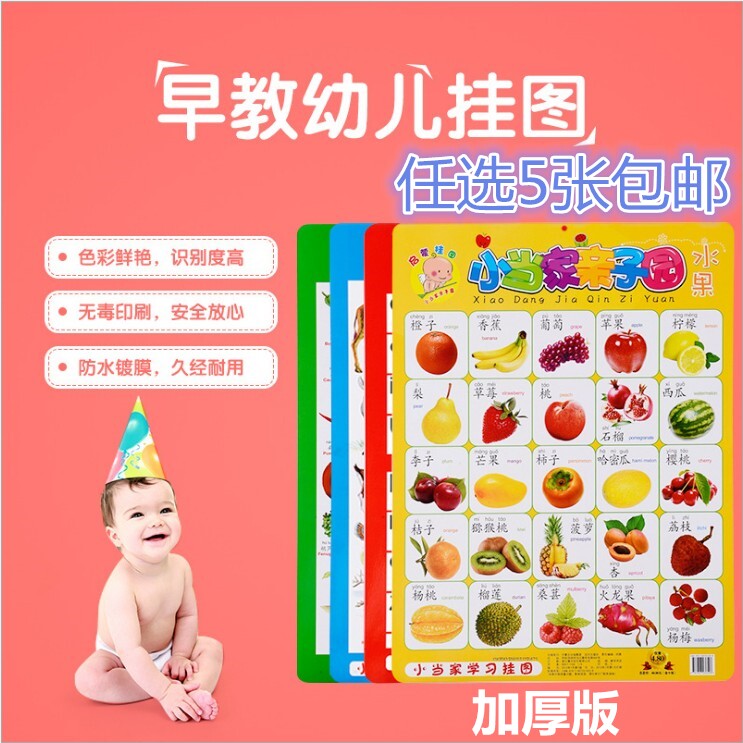 超厚正版小当家无声挂图幼儿早教启蒙识字图卡片双面膜5张免运费