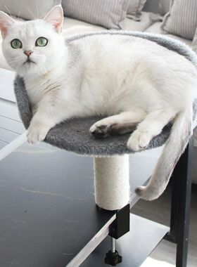 Cat Hammock Perch Desk Clamp Cat Bed With Soft Pad