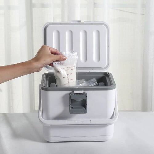 4.5L Insulated Portable Cooler with Handle Barbecue