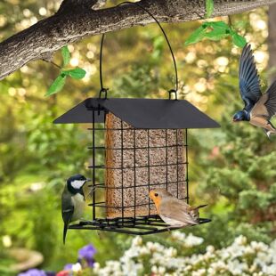 Outdoor Hangable Bird Feeder with Weatherproof Roof Bird