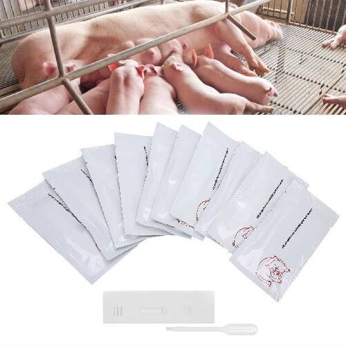 Early Pregnancy Diagnosis Tool  Pregnancy Test Strip Early