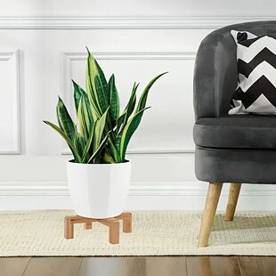 Durable Multi-Level Square Succulent Shelf - Perfect