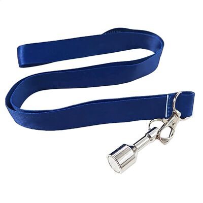 Bocce Balls Picker Set Secure Strong Magnet Portable Bocce