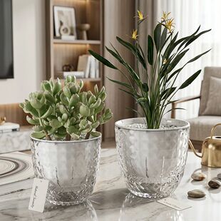 Pots Self Watering Plant Layer Double