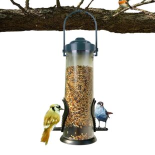 Squirrel Outdoor Proof Dispenser Food Bird Feeder