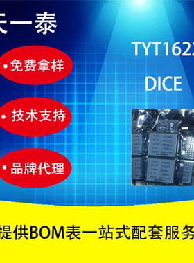 自主品牌天一泰TYT1622 完全兼容替代HT1622 SL3208 裸片（DICE)