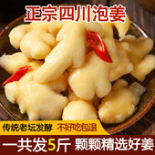 开胃下饭小菜酱菜 腌制酸姜嫩姜 四川特产泡姜仔姜 老坛酸辣泡菜