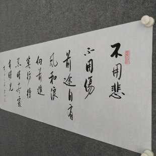 不用悲书法作品手写真迹启功字画装裱客厅书房励志格言警句挂画