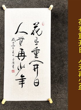 花有重开日人无再少年手写书法