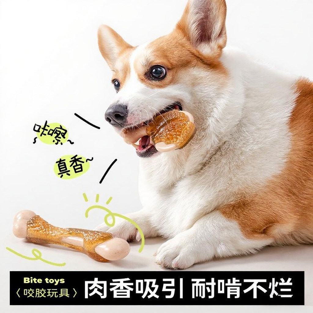 日本狗狗磨牙棒啃咬幼犬橡胶骨头