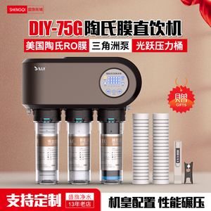 DIY净水器陶氏ro膜五级家用直饮机反渗透纯水机厨房水龙头过滤器