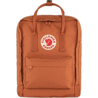 Потальный коричневый 243