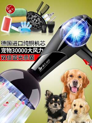 宠物店电吹风吹拉毛神器速干一体洗澡宠物狗烘干大型犬狗狗吹风机