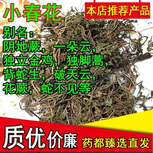2023大别山区现货一朵云小春花独脚金鸡阴地蕨蛇不见1斤500克包邮