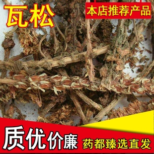 中药材瓦松现货瓦松草瓦花 向天草 天王铁塔草 500克包邮正品新货