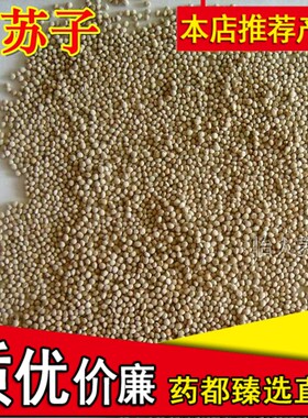 白苏子生白苏子种子精选优质特级白苏籽东北苏子可磨粉500g克包邮