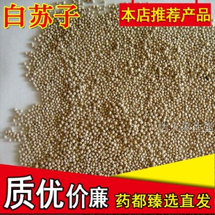 白苏子生白苏子种子精选优质特级白苏籽东北苏子可磨粉500g克包邮