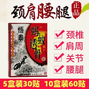 济世仁德黑蚂蚁透骨贴 悟泰黑蚂蚁膏药贴颈肩腰椎腰腿关节痛6贴