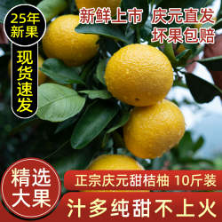 25年正宗庆元甜桔柚甜橘柚香甜多汁10斤装礼盒包邮比建阳桔柚好吃