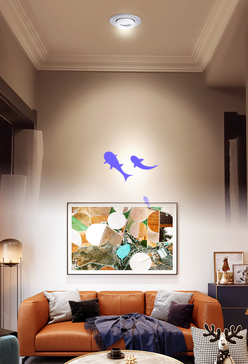 感应嵌入式射灯筒灯投影鱼过道明装投影玄关入户天花灯房号灯