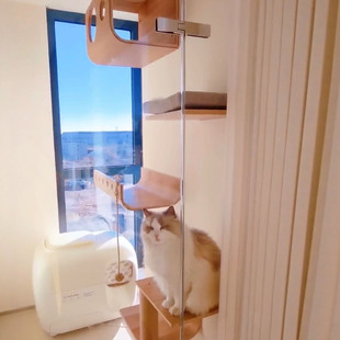 客厅阳台猫咪展示柜上墙猫爬架墙壁挂式原实木猫墙猫窝小户型占地