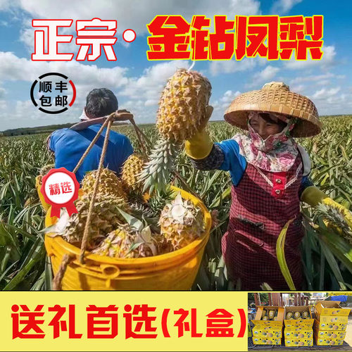 徐闻丽姐金钻手撕凤梨礼盒