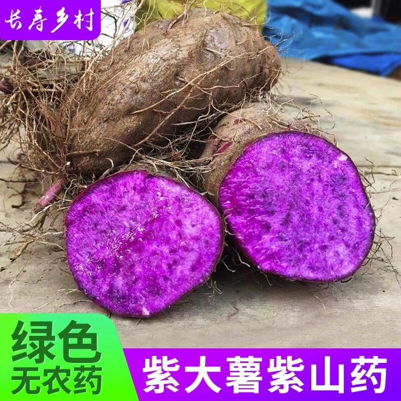 紫山药 湛江大薯脚板薯农家紫红淮山新鲜现挖毛薯山药农产品