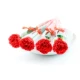 Красный Kanglei Soap Flower