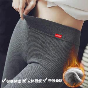 打底裤女外穿螺纹高腰韩版显瘦竖条大码小脚紧身裤加绒女士打底裤