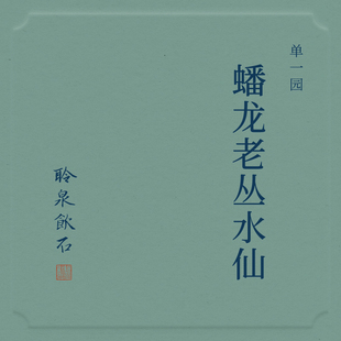 【聆泉饮石】2025蟠龙老枞水仙 武夷岩茶乌龙茶 礼盒装青瓷罐