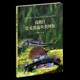 浙江大学出版 9787308228695 钱塘江常见溪流鱼类图鉴 社 正版